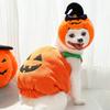 Костюм для домашних животных на Хэллоуин для собак и кошек Удобный полиэстеровый дизайн с регулировкой Посадка Легко надевать Праздничный наряд
