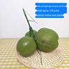 Искусственный плод кокоса для маскировки водосточной трубы и кондиционера на балконе - Новый декор кокосовой пальмы