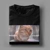 Мужские футболки Mr Fresh The Side Eye Cat 100% хлопок футболки с коротким рукавом смешная футболка с мемом одежда с графическим принтом круглый вырез