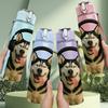 1PC Dog Wearing Headphone Music Pet Art 750ml Color Plastic Sports Water Bottle Leakproof Flip Straw Lid Suitable for Sports Office Home Use