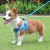 Reflective Lightweight Breathable Dog Harness with Leash - Soft Comfort Pet Vest for Dogs Cat (6 Colors)