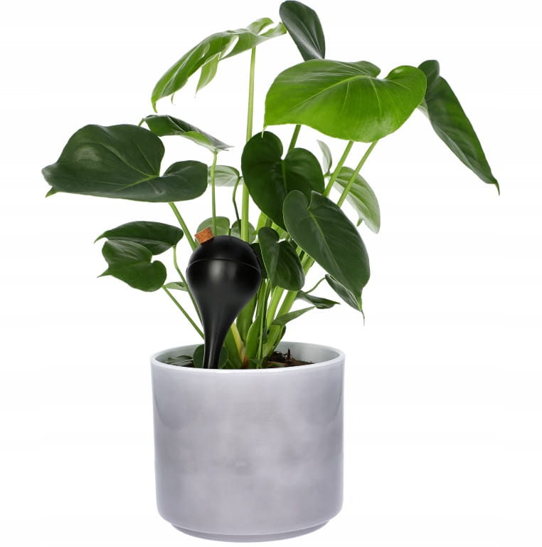 Plant Watering Globes with Cork for Pots