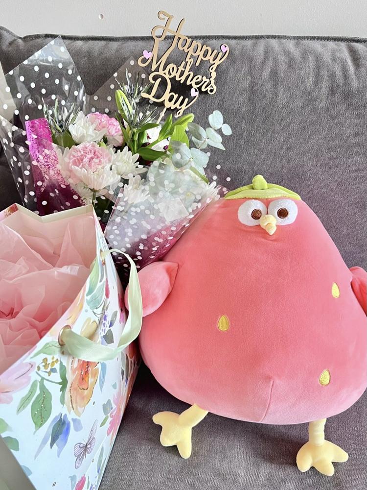 Duddun Chicken Stuffed Toy Soft Plush Cotton For Kids Bedroom Decor Gift