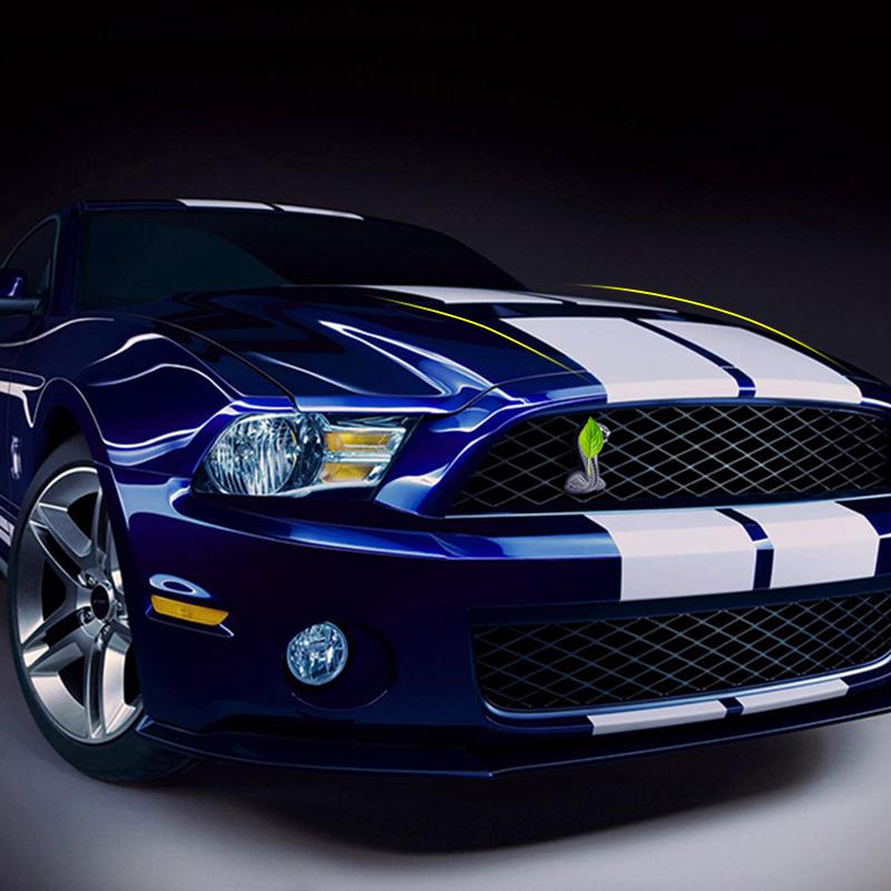 Для Ford Mustang 15-20 узор из углеродного волокна, полный кузов, гирлянда, декоративная наклейка, капот двигателя