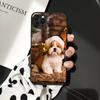 Чехол для телефона с изображением щенка ши-тцу Shitzu для iPhone 11 12 13 mini pro XS MAX 8 7 6 6S Plus X 5S SE 2020 XR