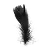 Wedding Ornaments Natural Color Colorful Feather Costume Decoration Home Decoration Goose Feathers
