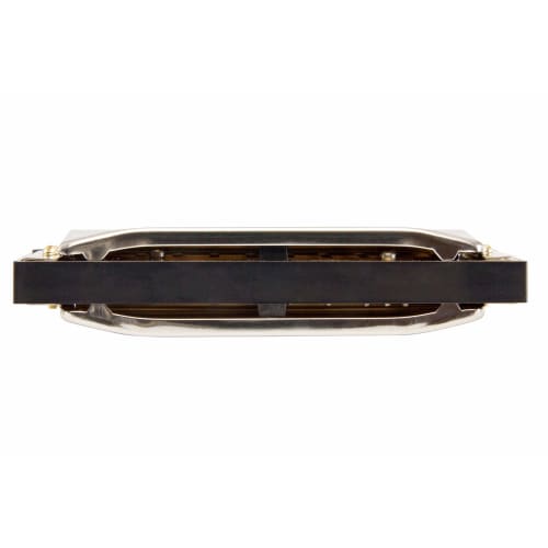 HOHNER SPECIAL 20/G Special 20 10-Hole Harmonica M560086X
