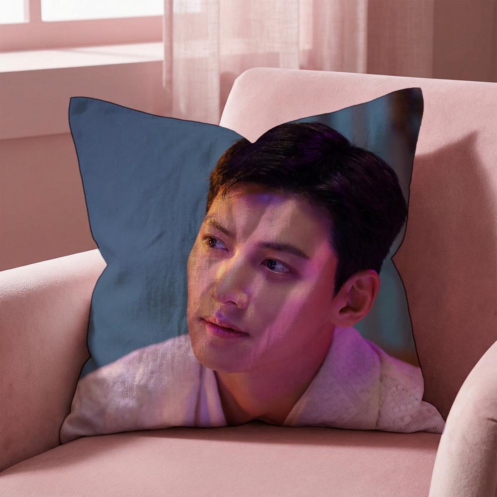 Чехол для подушки J-Ji C-Chang Wook, многоцелевой чехол для подушки для дома и автомобиля - Двусторонний, мягкий и прочный для ежедневного использования