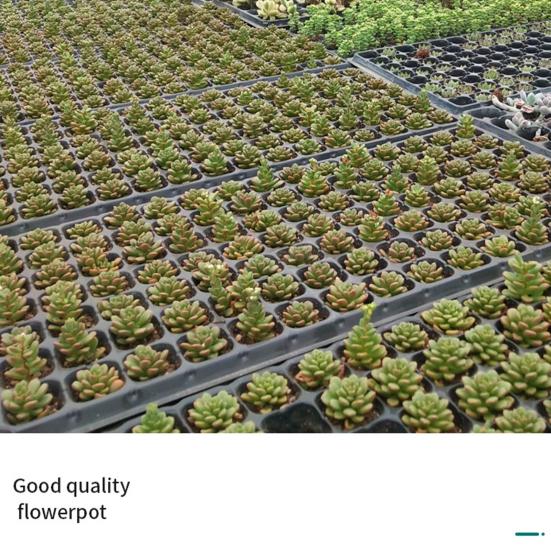 Прочный поднос для выращивания растений большой емкости, пластиковый практичный многоцелевой посадочный горшок для дома