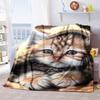 Kitten Nap Time Blanket Soft Comfortable All Seasons Perfect Sofa Office Naps Trips Festive Gift