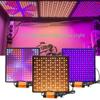 GREENSINDOOR LED Grow Light Panel Led Lights For Indoor Growing Phyto Lamp For Plants Full Spectrum Grow Lamp