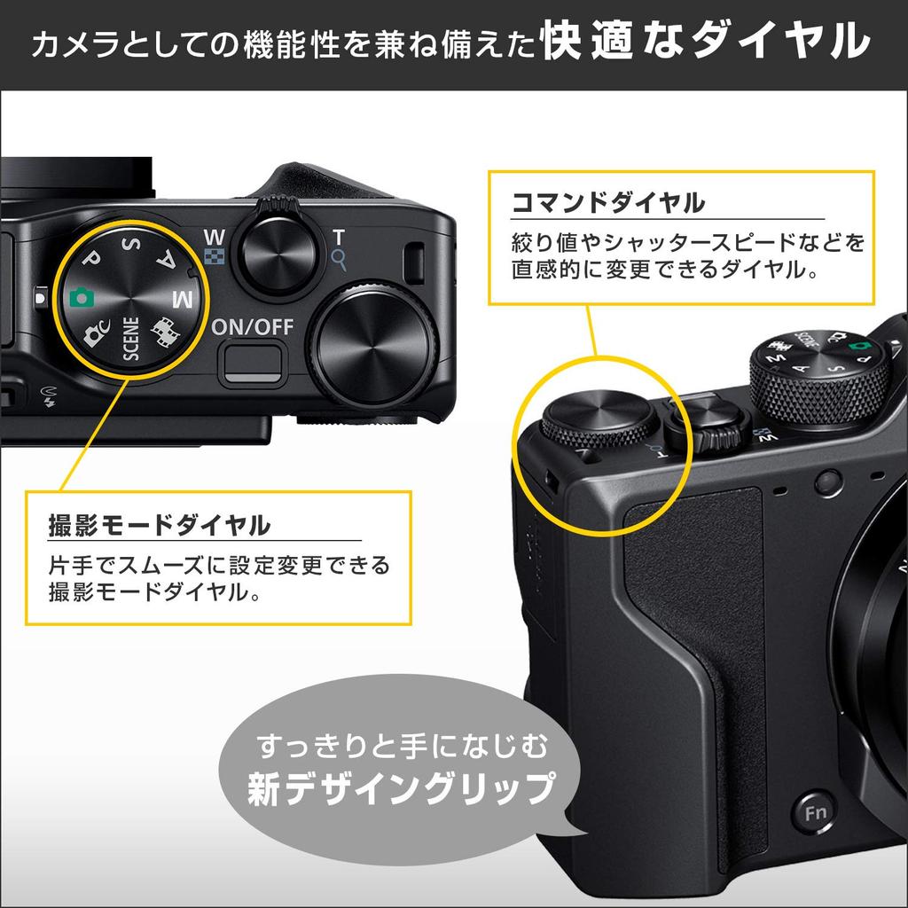 Nikon COOLPIX A1000 SL Digital 35x Optical ISO EVF with Eye Silver Camera, Zoom, 6400, Sensor, (A1000SL)