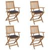 VidaXL Set of 4 Folding Garden Chairs with Cushions, Patio Seats, Dining Chairs, Patio Furniture 3064632