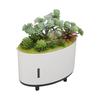 Simulation Plant Humidifier USB Charging Quiet 200ml Automatic Power Off Protection Portable Mini