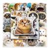 50 Internet Celebrity Cat Emoticons Packs Graffiti Personalized Hot DIY Mobile Suitcase Stickers Waterproof
