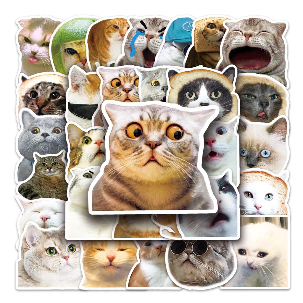 50 Internet Celebrity Cat Emoticons Packs Graffiti Personalized Hot DIY Mobile Suitcase Stickers Waterproof