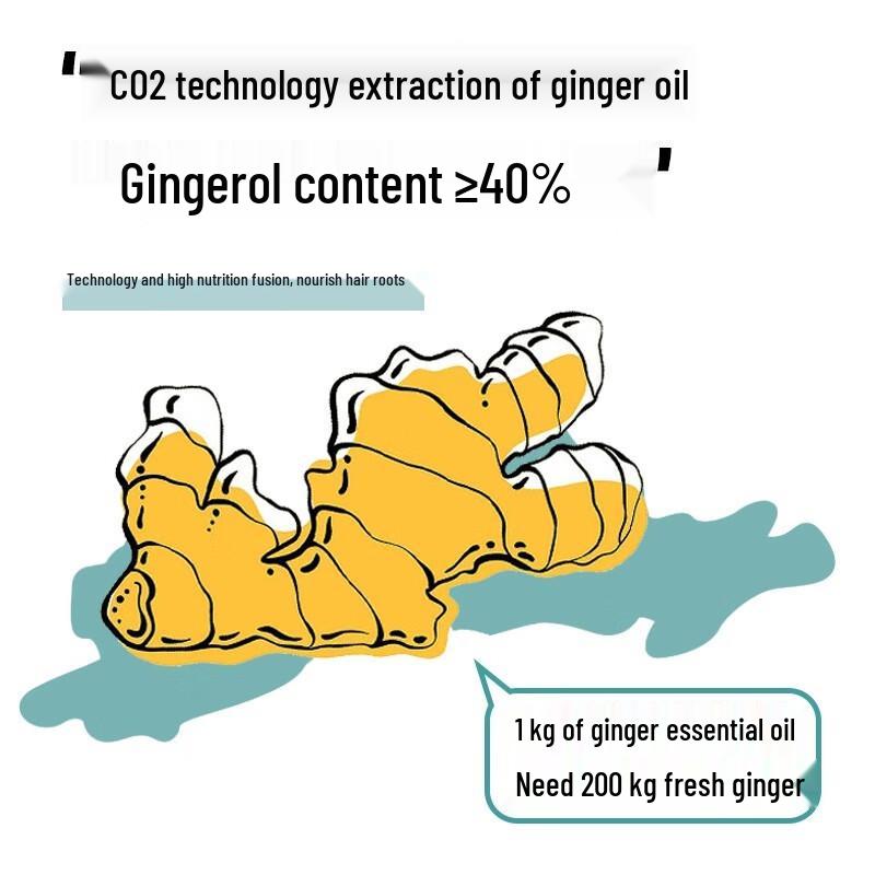 Шампунь против выпадения волос и для роста волос Accen Ginger