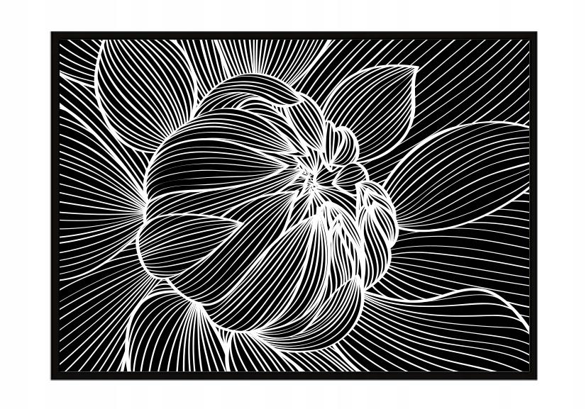 Picture poster In a frame 53x73 cm Flower P1059