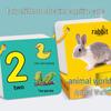 Animal Cognition Flashcards: Early Learning Picture Recognition Cards for Toddlers and Babies