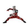 TAMASHII NATIONS S.H.Figuarts (Shinkocchou Seihou) Kamen Rider Ryuki, Approx. 145mm, PVC & ABS, Pre-