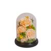 Eternal Flower Gift Box Finished Glass Cover Ornament 110 Mother's Day Valentine's Day Birthday Send Girlfriend