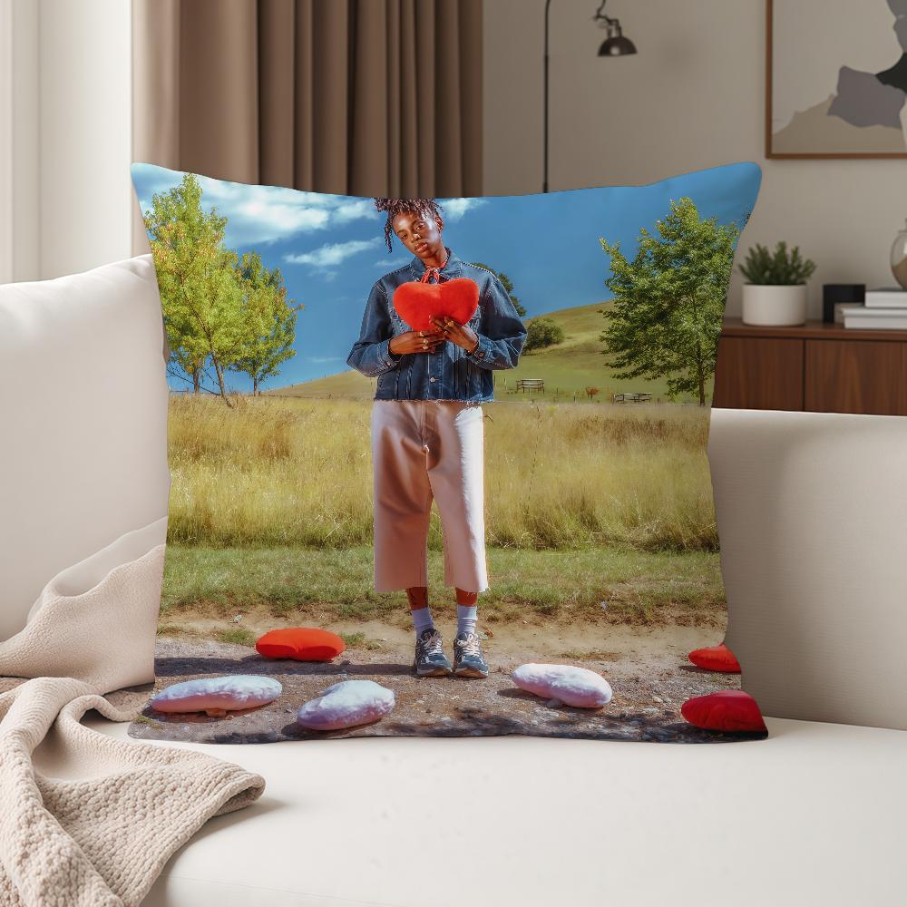 Singer Cat B-burns How To Be Human Pillow Case Suitable For Bedrooms Living Rooms Cars Home Decoration