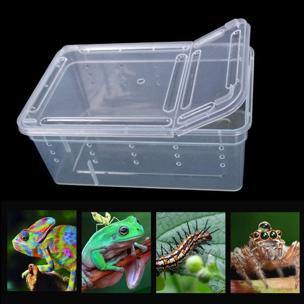 Reptile Frogs Tarantulas Snakes Breeding Insect Reptile Terrarium Living House Cage Feeding Box