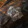 150cm Wide 1meter/lot Black/White Soft Mesh Flower Lace Fabric Clothes Dress Material /Table Cloth Decoration Fabric X1332