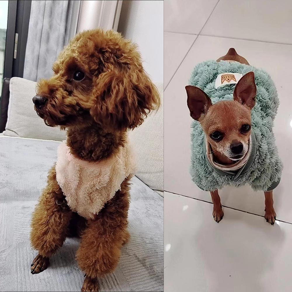 Winter Dog Clothes Pet Cat Autumn Twisted Double-faced Fleece Vest Clothing