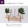 Современное синтоистское зеркало Kamidananosato, Касумикумо, Клен, 1,5 дюйма, Натуральное, Маленькое