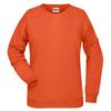 James and Nicholson Womens/Ladies Sweatshirt