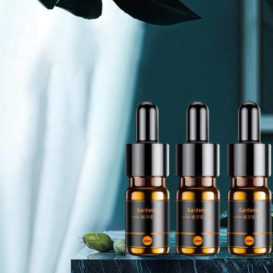 10 мл автомобильный парфюмерный запасной ароматизатор, мягкий нераздражающий натуральный освежитель воздуха с эфирным маслом для домашнего авто