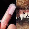Super Soft Pet Finger Toothbrush Teddy Dog Brush Bad Breath Tartar Dental Tools Pet Oral Cleaning