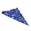 COLORFUL CANDY STYLE Apron train face collection East Japan commercialization license set of for bandana kids elementary school elementary school