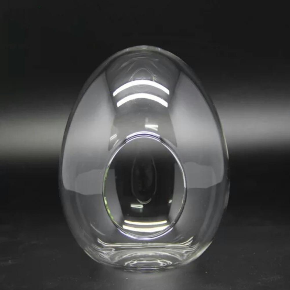 Exquisite Succulent Glass Vase Transparent Micro Landscape Moss Bottle Hydroponic
