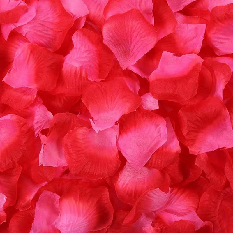 Rose Petal Decor for Wedding Ceremony, Proposal, and Bed Arrangement