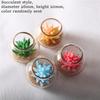 1pcs Miniature 1:12 Dollhouse Potted Glass Vase Lifelike Succulent Mode Decoration Desktop Ornaments Dolls House Accessories