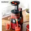 Juicer Sap Slakken Scheiding Huishoudelijke Fruit Kleine Draagbare Multifunctionele Originele Juicer Frituren Sap Machine 220V