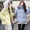Winter Thick Warm Down Coat Woman Padded Jacket for Women Casual Hooded Fur Collar Long Parkas Jackets Coat Female Outwear