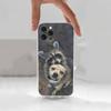 Cute R-Raccoon Case For iPhone 15,11,12,13,16,14,17,Pro,Max,Plus,SE,Mini,X,XS,XR, Transparent Soft Silicone