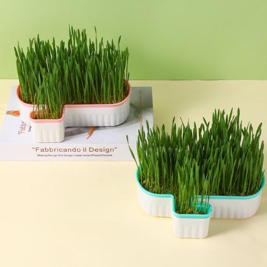 Hydroponic Cat Grass Planter Detachable Bottom Fine Filter Hole Double Layer Soilless Catnip Snack Growing Box for Garden