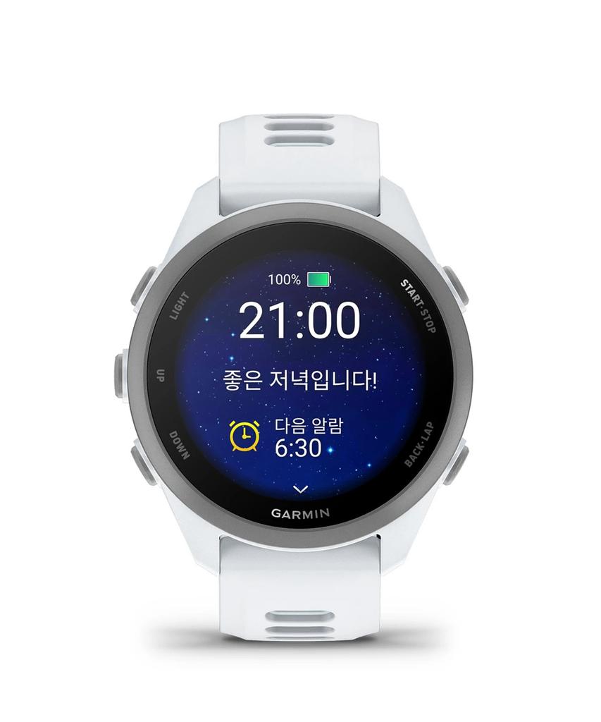 Gamin Forerunner 170 Whitestone