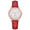 Diamond Inlaid Luminous Watch Women's Belt Women's Watch Quartz Watch Watch