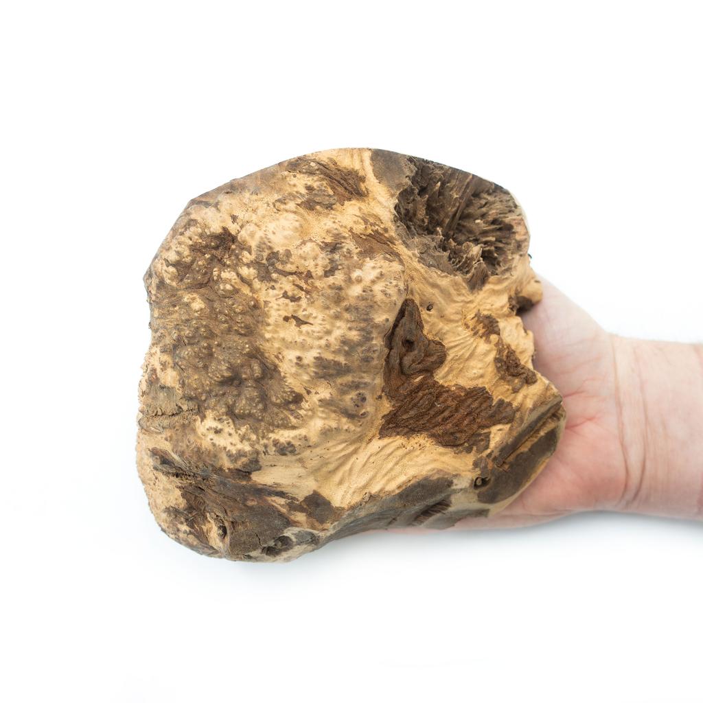 Briar Root Chew 4DOGS Size XXL