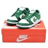 DX5931-100 Nike Dunk Low Michigan State Сатиновый Командный Лесной Зеленый Белый (Женский)