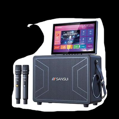 Портативная KTV-колонка Sansui E82 с сенсорным дисплеем, штепсель CN (адаптер в комплекте)