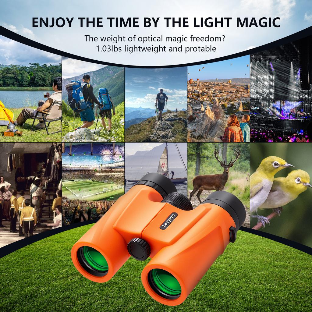 Leaysoo 10X32 Compact Binoculars for Adults and Kids,High Powered Small Binoculars, BAK-4 FMC Clear Low Light Vison Waterproof B