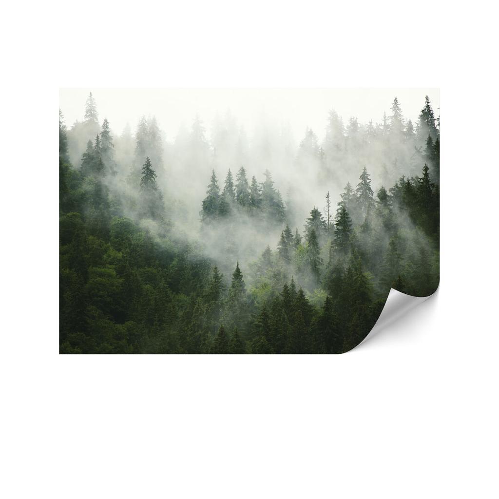 Fototapeta Flizelinowa Standard - 400 X 280 Cm - Styl Eklektyczny - Natura