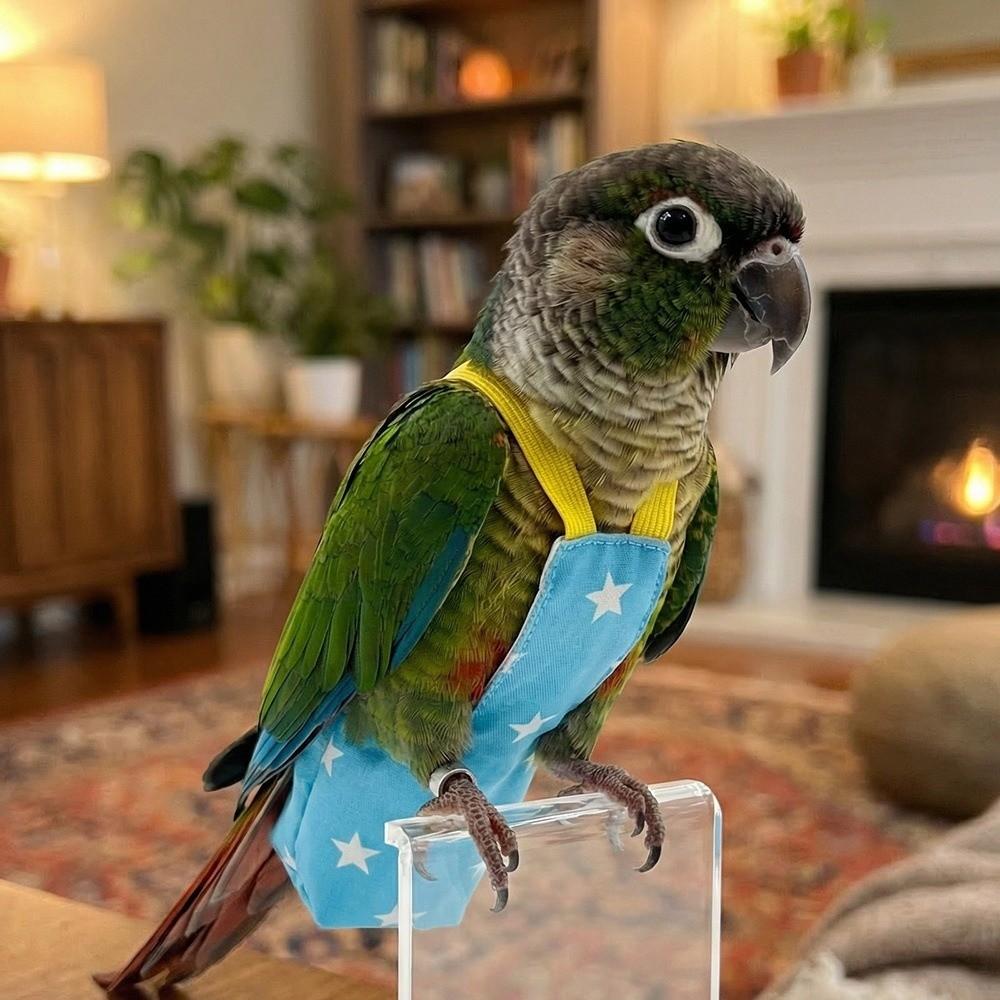 Escape Proof Bird Flight Suits Breathable Bird Flight Clothes Parrot Flying Harness Pet Walking
