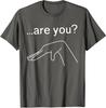 Pride Lgbtq Are You Gay Funny Present Friends Gift Unisex T-Shirt